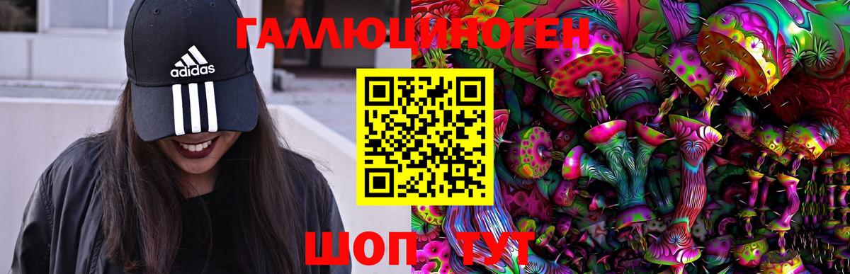 Галлюциногенные грибы Cubensis Полевской