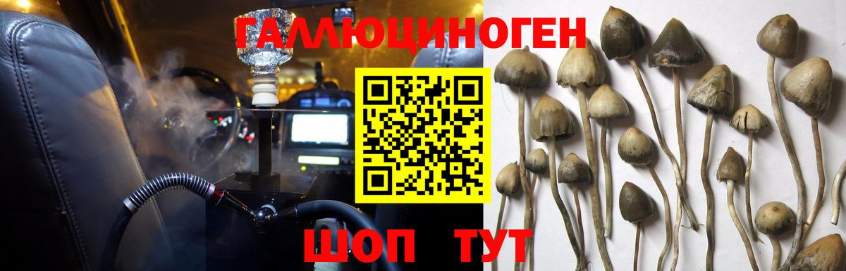 ЭКСТАЗИ  ГАШИШ  Вход с VPN  МЕФ   Полевской  КОКАИН  Бошки Шишки 